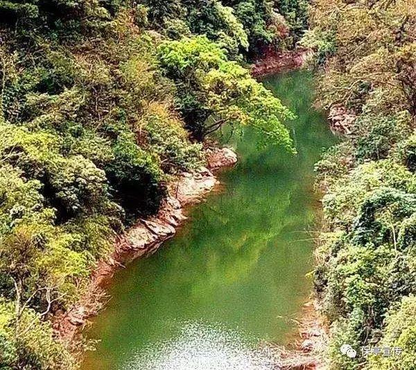 狂野的飙客