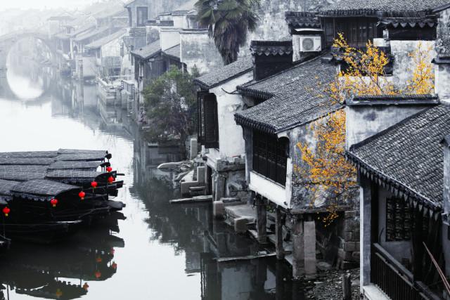 浙江交科：1月19日接受机构调研，长江证券、长江养老等多家机构参与